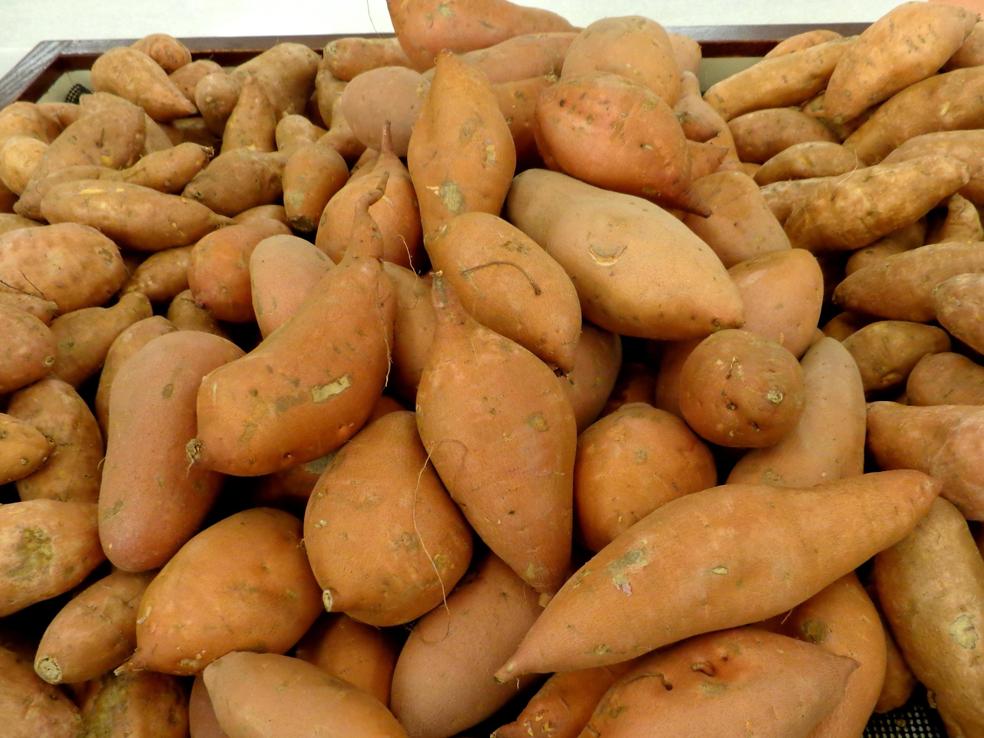 Savory Sweet Potato and Gala Apple Soup Recipe on the Go