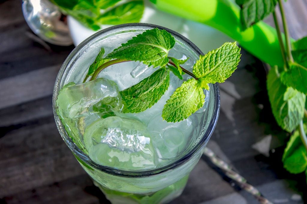 Delve into the Refreshing Upgrade on Mojito: The Old Cuban
