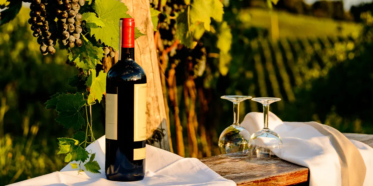 Unveiling Italy's Finest Bottles: 16 Must-Try Wines