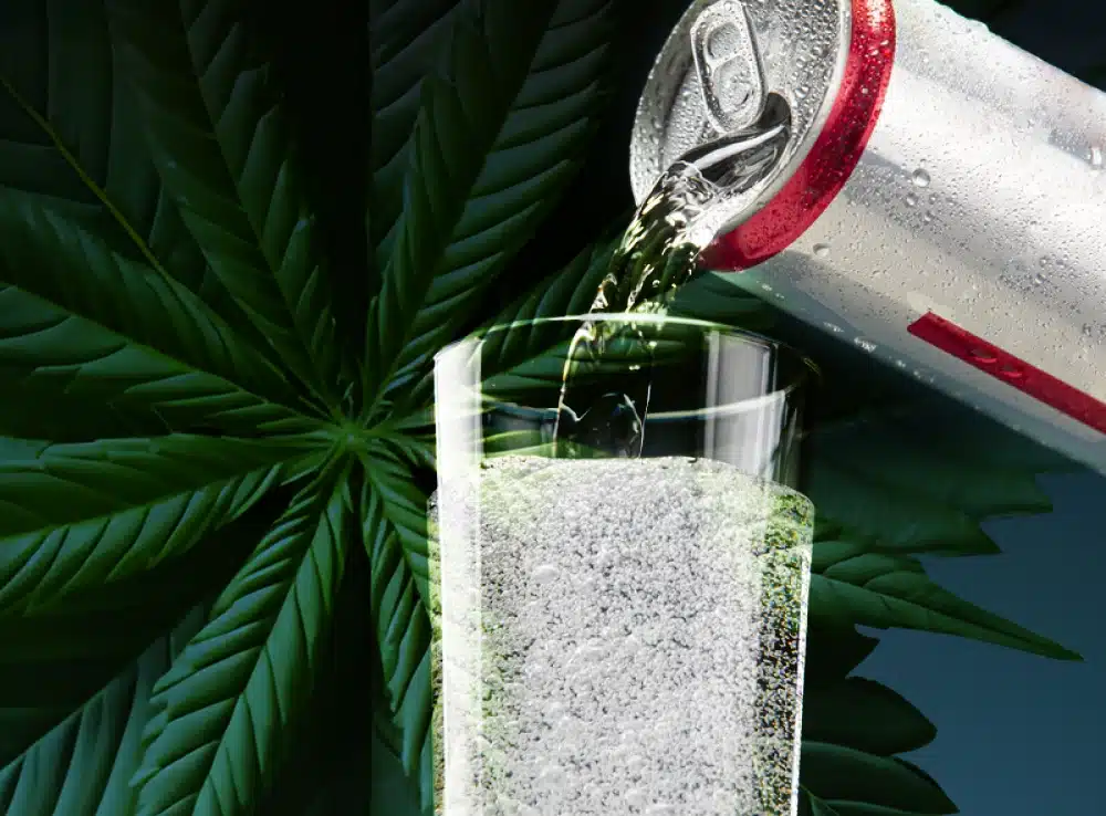 Celebrities Investing in Big in Newly Flourishing Market of Cannabis Drinks