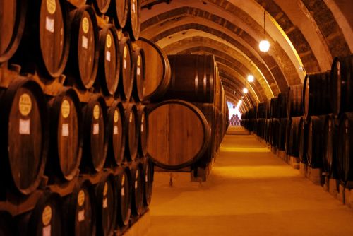 Sicily Rising: Discover Noteworthy Wines from Italy's Renowned Island