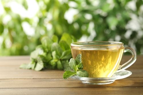 Nana's Green Tea: Japan's Biggest Matcha Chain Set to Expand in the US