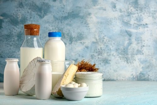 Cheese Enthusiasts Rejoice: Lactose-Free Options Abound!