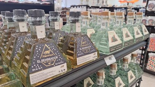 A Sip of History: Xtabentún and the Ancient Maya Art of Beekeeping