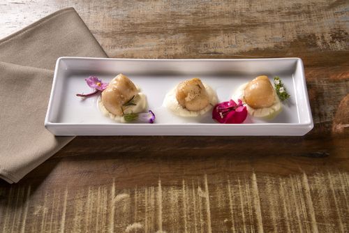 Scrumptious Sicilian Scallops with Citrus Fennel Salad