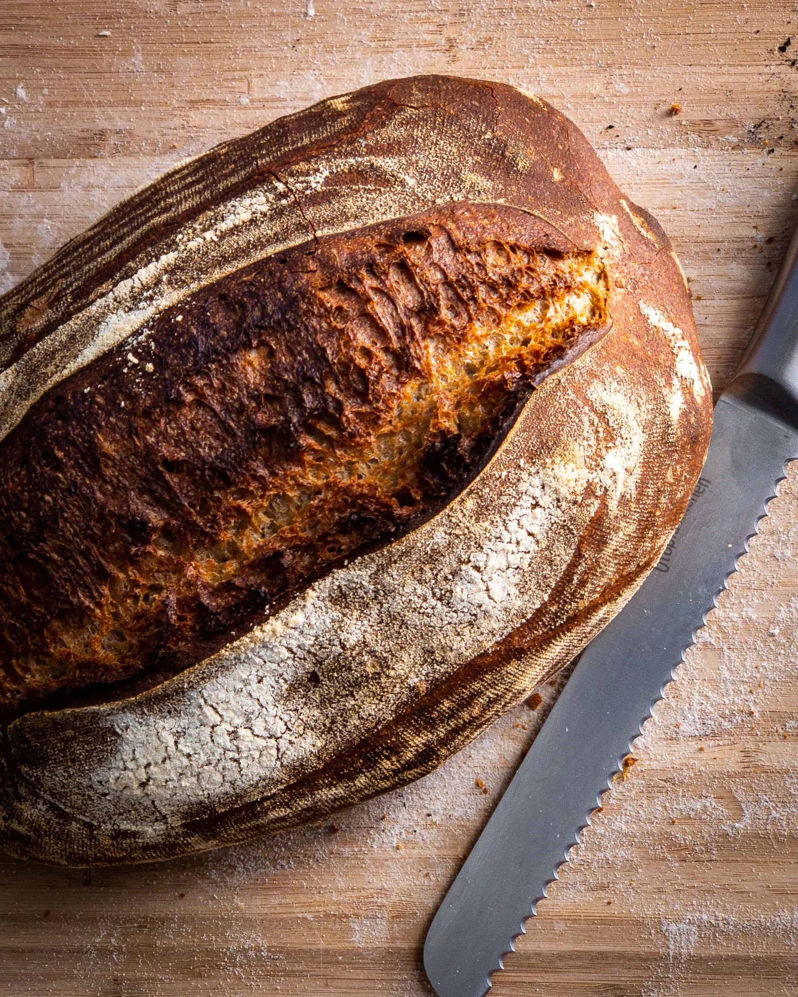Sourdough Bread: The Trendy Loaf that’s More than Just Delicious